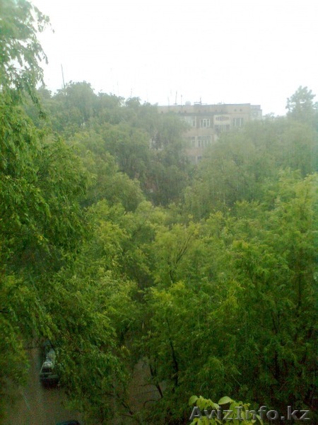 Город Шымкент, Нуржан nur86s@mail.ru 87004702930, 87051217979 - Изображение #1, Объявление #341878