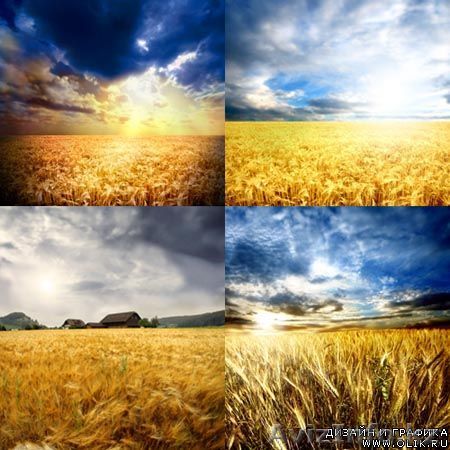 продажа селитры марки Б GOST 2-85 - Изображение #1, Объявление #513339