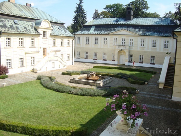 Бесплатное обучение в Чехии! - Изображение #1, Объявление #597537