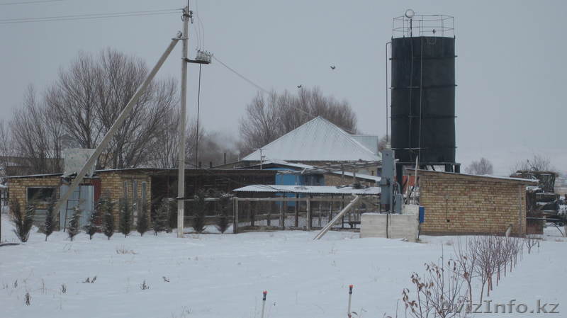 Фазенда о которой вы мечтали всю жизнь, вот она, берите! - Изображение #1, Объявление #831965