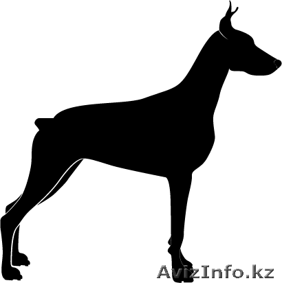  срочно продам собаку))))) - Изображение #1, Объявление #865435