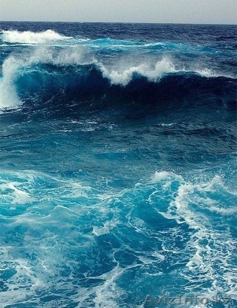 Обучение графическим программам Adobe Photoshop и CorelDRAW - Изображение #1, Объявление #1250832