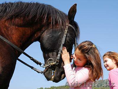 Ковбойский лагерь для детей в Кемере - Изображение #1, Объявление #1270542