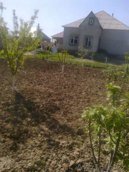 Срочно продам 5-ком. дом - Изображение #1, Объявление #1554718