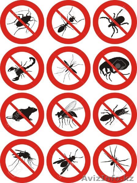  Дезинcекция и дератизация Шымкент - Изображение #1, Объявление #1561277