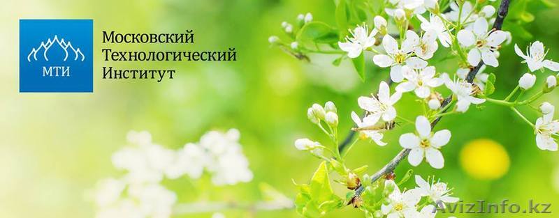 Московский Технологический Институт-обучение дистанционно - Изображение #1, Объявление #1558913