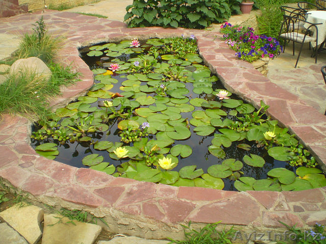 Ландшафтны Озеленение и создание уюта в частных и общественных дворах. - Изображение #1, Объявление #979105