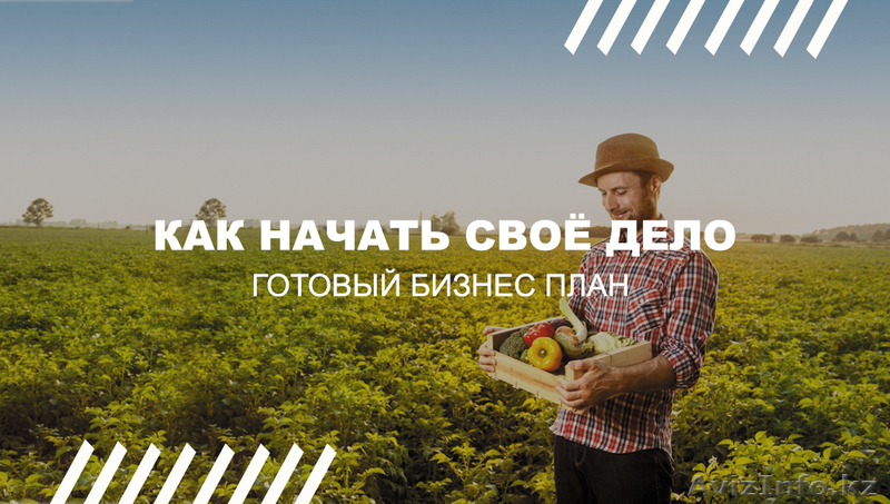 Производство биогумуса - бизнес план - Изображение #1, Объявление #1619787