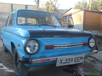 87778850144 суспицин юрий - Изображение #1, Объявление #133367