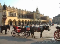 Преподаватель польского языка онлайн - Изображение #2, Объявление #567476