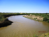 Участок г. Сары-агаш - Изображение #4, Объявление #637328