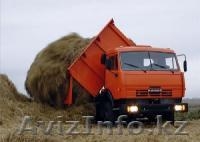 КАМАЗ 45142 СЕЛЬХОЗНИК - Изображение #2, Объявление #687628
