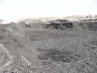 Поставка угля.Поставка угля - Изображение #2, Объявление #333788