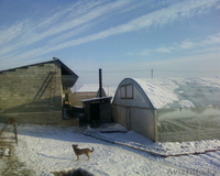 Действующая теплица S-600 м2 - Изображение #5, Объявление #813708