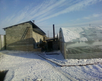 Действующая теплица S-600 м2 - Изображение #4, Объявление #813708