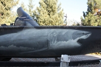 Роспись стен и декоративная отделка - Изображение #4, Объявление #856087