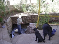 Внимание продается фамильное поместье. - Изображение #2, Объявление #874674