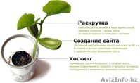Создание сайтов в Шымкенте,Сервис Центр  - Изображение #2, Объявление #948411
