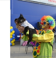 Цирконутые Дед Мороз и Снегурочка - Изображение #3, Объявление #997948