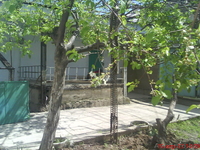 дом-коттедж 2х этажный  из 5 комнат - Изображение #2, Объявление #1028039