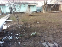 5-комнатный дом  ЮКО Отд.Тельмана, Балуаншолак, дом № 23а - Изображение #8, Объявление #1052801