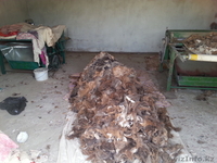 чесальный машина шерсти - Изображение #7, Объявление #864194