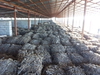 Раушан, 19710313@mail.ru. 8-771-805-66-44 - Изображение #3, Объявление #1089719