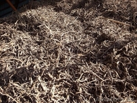 Раушан, 19710313@mail.ru. 8-771-805-66-44 - Изображение #8, Объявление #1089719