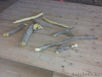 Раушан, 19710313@mail.ru. 8-771-805-66-44 - Изображение #7, Объявление #1089719