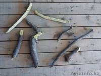 Раушан, 19710313@mail.ru. 8-771-805-66-44 - Изображение #6, Объявление #1089719