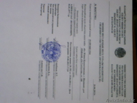 продам два участка - Изображение #5, Объявление #1097174