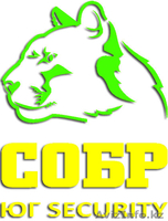 СОБР ЮГ SECURITY – СОЗДАНЫ ЗАЩИЩАТЬ - Изображение #4, Объявление #1101154