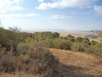 Продам земельные участки вблизи заповедной зоны ЮКО  - Изображение #7, Объявление #1143511