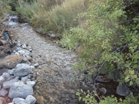 Продам земельные участки вблизи заповедной зоны ЮКО  - Изображение #3, Объявление #1143511