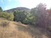 Продам земельные участки вблизи заповедной зоны ЮКО  - Изображение #4, Объявление #1143511