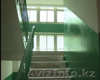 Ремонт подъездов: покраска, побелка, шпатлевка, обдирка, уборка местничных марше - Изображение #1, Объявление #1199852