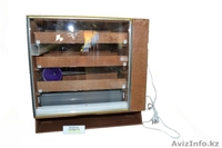 инкубатор в шымкенте, Инкубатор российский, автоматический! - Изображение #3, Объявление #1212508