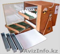 инкубатор в шымкенте, Инкубатор российский, автоматический! - Изображение #4, Объявление #1212508