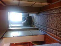 Продам дом в 11 микрарайоне - Изображение #6, Объявление #1288724