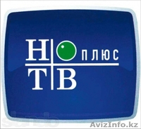 НТВ ПЛЮС в Шымкенте, установка,настройка,техобслуживание - Изображение #1, Объявление #1397767
