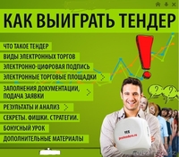 Полное сопровождение в государственных закупках и тендерах!  - Изображение #2, Объявление #1383862