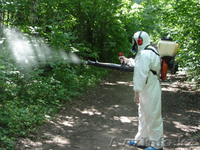 Юг Дезинфекция - уничтожение вредных насекомых и грызунов - Изображение #3, Объявление #1507349