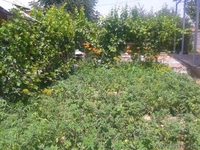 Продается 5 комнатный дом (13х12), ЖК, 2016 г.п - Изображение #3, Объявление #1558910