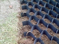 георешетка 100/420*420 - Изображение #1, Объявление #1564664