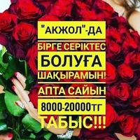 Апта сайын табыс алғыңыз келсе бізге қосылыңыз - Изображение #4, Объявление #1655518