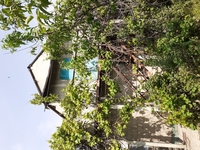 Продажа дачи на Шубарсу1 - Изображение #2, Объявление #1710655