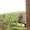 Мкр.Самал-1. рядом с лицеем "Байтерек" - Изображение #10, Объявление #634136