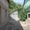 Продам дом в г. Шымкенте, ДСР - Изображение #3, Объявление #935955