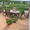 Террасная доска Darvolex в Шымкенте - Изображение #1, Объявление #1178806