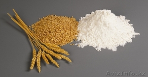 Мука пшеничная, отруби - Изображение #1, Объявление #14035